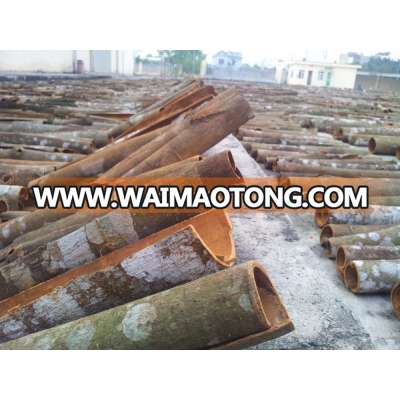 Cassia / Cinamon (Stick and Broken) With High Quality in Vietnam