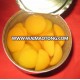 Canned Mango Pieces in light syrup 3000g