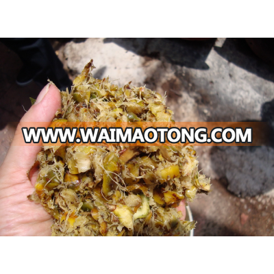 Pineapple silage mixxed with crushed rice husk